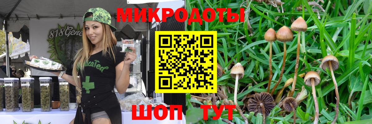 Галлюциногенные грибы Psilocybe Лянтор
